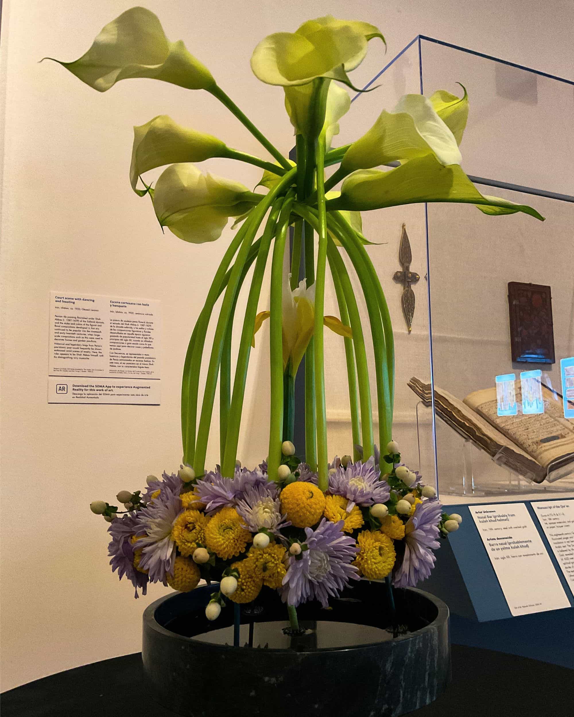 Single iris surrounded by a circle of calla lilies