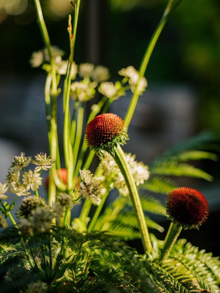 Floral Design San Diego | San Diego Florist | Botanical Materials