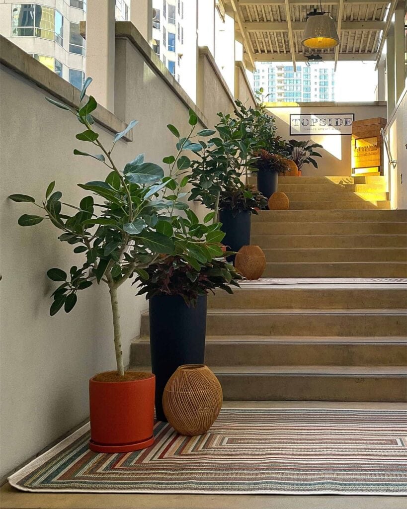 Interior plant design going up staircase at hotel restaurant