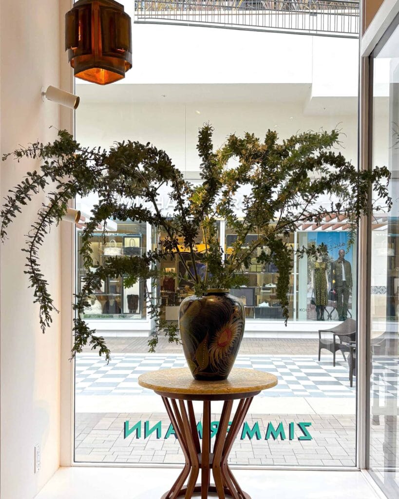 Organic acacia branches in luxury retail display window